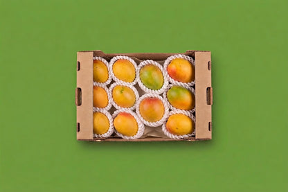 Sweet Sugar Mango from Colombia - Full case 2kg of tree-ripened baby mangoes delivered fresh in Toronto GTA