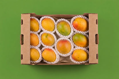 Colombian Baby Sugar Mangoes packaged in protective case - Magdalena Valley tropical fruit