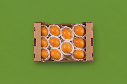 Fresh granadilla yellow passion fruit in protective netting, exotic fruit delivery Toronto and the GTA