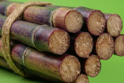 Close-up of cut purple sugar cane stalks showing juicy core, fresh red sugarcane Toronto GTA delivery