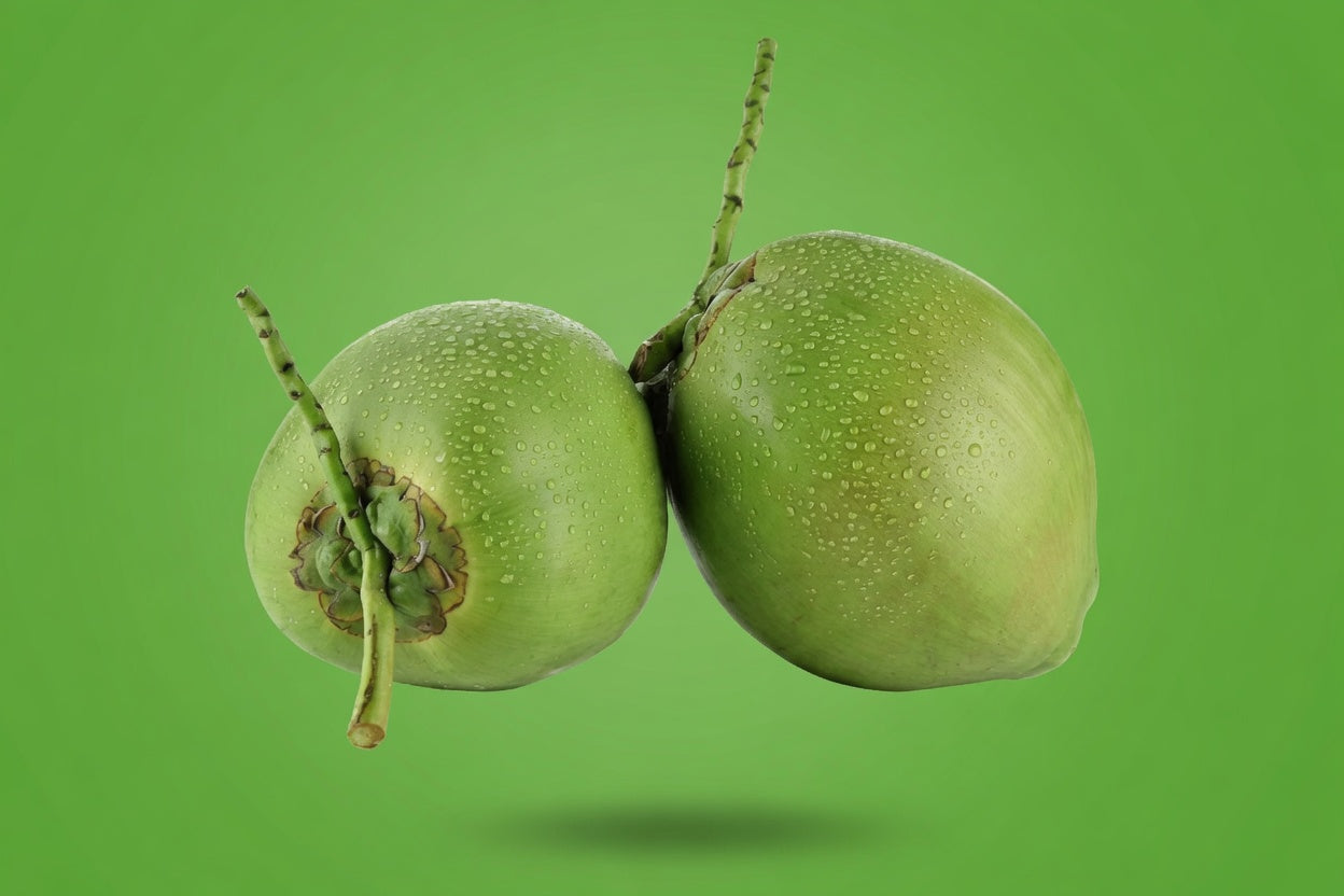 Fresh green young coconut from Freshever, delivered weekly in the GTA