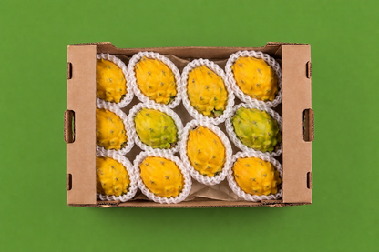Yellow Dragon Fruit bulk case - Fresh exotic fruit delivery GTA